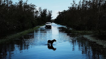 Trump, GOP fire back after Dems block disaster relief bill: 'Washington has reached a new low'