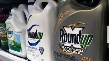 Roundup weed killer substantial factor in California man's cancer, jury rules