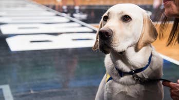 The Daily Spike: Spike goes hard with the Brooklyn Nets