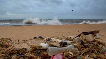 Dire UN climate change report reveals it’s not too late to save planet