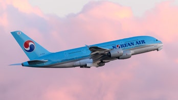 Man wrestles Korean Air passenger who tried to storm cockpit: 'It was just bedlam'