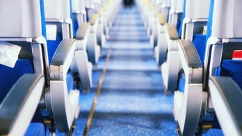 ANA leads the list of cleanest airlines in the world