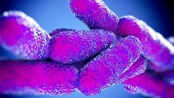 Legionnaires’ bacteria found in Wisconsin resort’s water system, health officials say