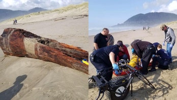 Woman crushed by large log on Oregon beach that was struck by 'sneaker wave'