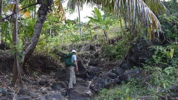 'Impossible' discovery found on remote island off African coast: A 'lost part of the world'