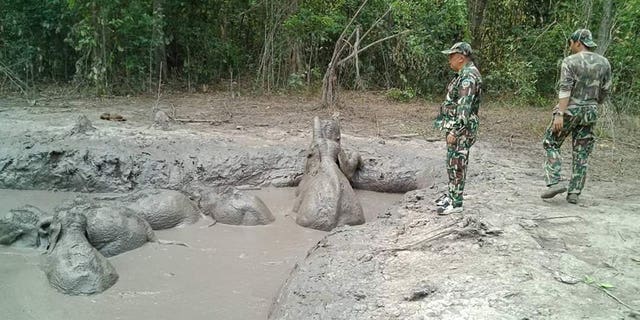 Park rangers took five hours to dig out a path to save six elephant calves after they were found trapped in a muddy pond.