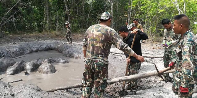 In this photo taken and released by the Department of Natural Park, Wildlife, and Plant Conservation Thursday, March 28, 2019, Thap Lan National Park rangers prepare to extract six baby elephants stuck in a muddy pond at Thap Lan National Park, Nakhon Ratchasima province, northeastern Thailand. Park rangers took five hours to dig out a path to save six elephant calves after they were found trapped in a muddy pond.