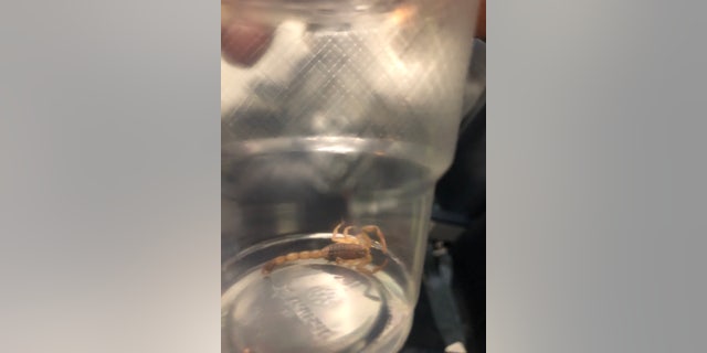 “Although this is an extremely rare situation, it can unfortunately occur,” the airline stated.