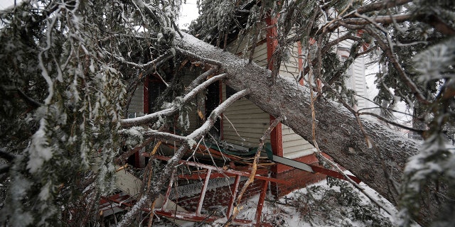 A tree lays on top of the Eugene Field house in Washington Park as a late winter storm packing hurricane-force winds and snow sweeps over the intermountain West Wednesday, March 13, 2019, in Denver. (AP Photo/David Zalubowski)