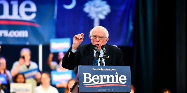 Vermont Sen. Bernie Sanders addressing a rally in North Charleston, S.C., in March. (AP Photo/Meg Kinnard, File)