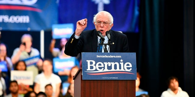Vermont Sen. Bernie Sanders addressing a rally in North Charleston, S.C., in March. (AP Photo/Meg Kinnard, File)