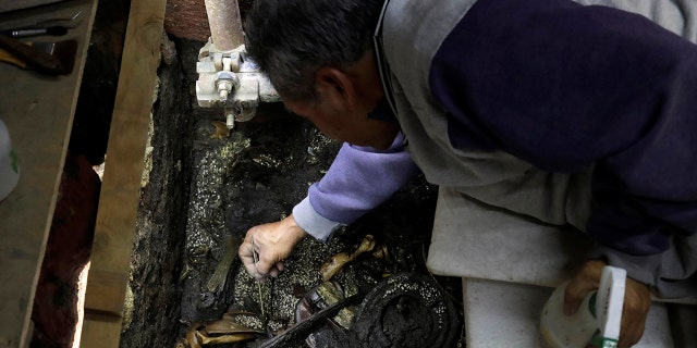 The gruesome discovery offers a chilling glimpse into Aztec ritual sacrifice.