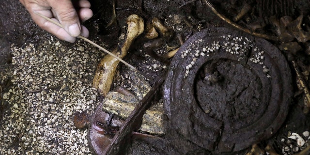 Tomas Cruz, an archaeologist with the National Institute of Anthropology and History (INAH), works at a site where the 500-year-old interior of a partially-excavated stone box contains an Aztec offering that includes the bones of a jaguar with the circular emblem of the war god Huitzilopochtli, as well a layer of coral, the remains of a large number of starfish and shells.
