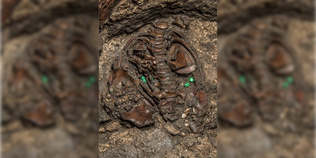The 500-year-old interior of a circular stone offering shows the bones of a sacrificed young boy dressed as a warrior and dedicated to the Aztec war god Huitzilopochtli, in Mexico City, Mexico in this handout photograph released March 15, 2019, to Reuters by Courtesy of the Templo Mayor Project of the National Institute of Anthropology and History (INAH)
