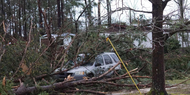 A vehicle is caught under downed trees along Lee Road 11 in Beauregard, Ala., Sunday, March 3, 2019, after a powerful storm system passed through the area.