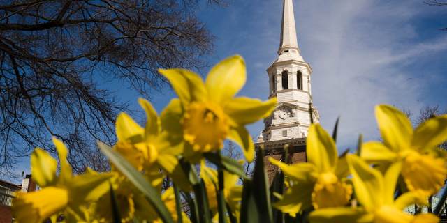 In this Wednesday, March 27, 2019 photo, the tower and steeple of Christ Church stands above newly bloomed daffodils in Philadelphia. The National Endowment for the Humanities has awarded a $500,000 grant to the historic church to restore its steeple and church tower. (AP Photo/Matt Rourke)