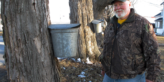 In this Wednesday, March 27, 2019 photo, maple syrup maker Fred Hopkins stands next to sap-collecting buckets in St. Albans, Vt., lent to him after 140 of his buckets were stolen off trees. (AP Photo/Lisa Rathke)