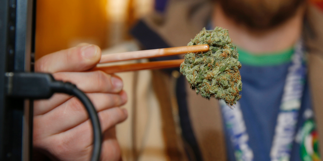 According to research released on Tuesday scientists say smoking high-potency marijuana every day could increase the chances of developing psychosis by about five times.