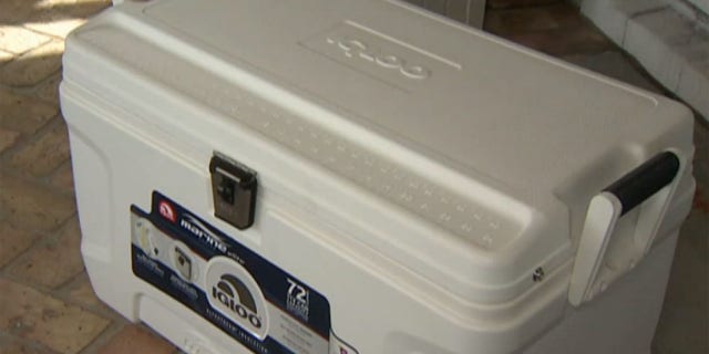 The cooler involved in the incident was a 72-quart Igloo Marine Elite cooler, with a lock to lock it.