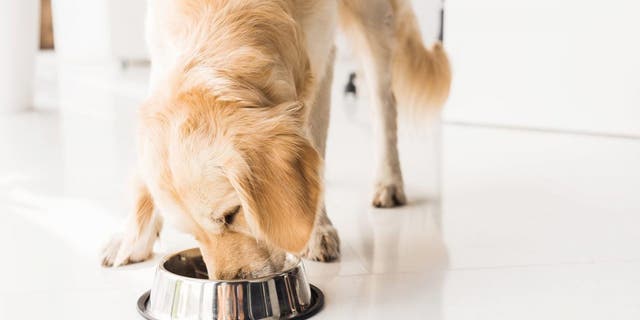 dog food recall vitamin d