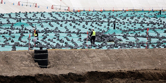Workers are seen in February at a soil storage facility for decontamination work, near Tokyo Electric Power Co's tsunami-crippled Fukushima Daiichi nuclear power plant, in Okuma Town, Fukushima prefecture.
