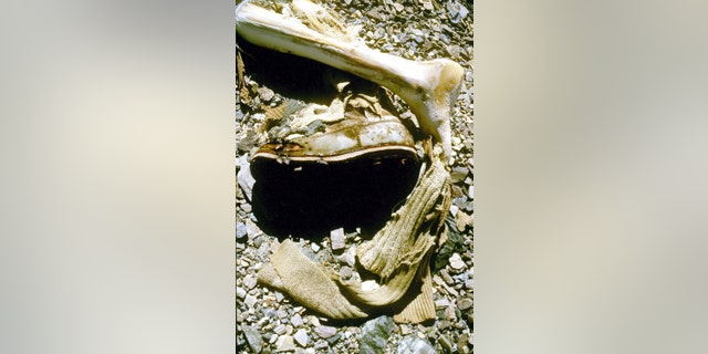 The remains of British mountaineer George Mallory, which were covered with rocks following their discovery in 1999.