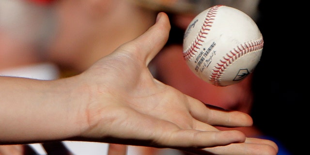 A fan catches a ball thrown into the stands during the fifth inning of a spring training baseball game. (AP Photo/Charlie Riedel)