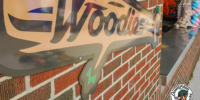 The Wood Ducks play in the Carolina League.