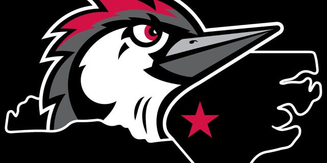 The Woodpeckers will begin their first season in Fayetteville in 2019.