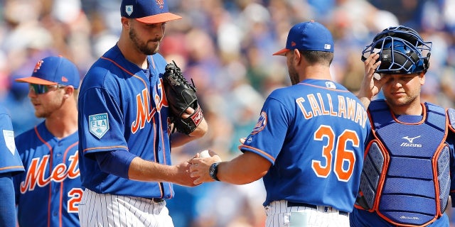 A plane carrying the New York Mets was bound to take off to Syracuse from Florida Monday but it was delayed for more than three hours, reports stated.