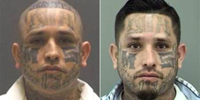 Rodrigo Flores, 34, has been added to the Texas 10 Most Wanted Fugitives list and is affiliated with the MS-13 gang, according to officials.