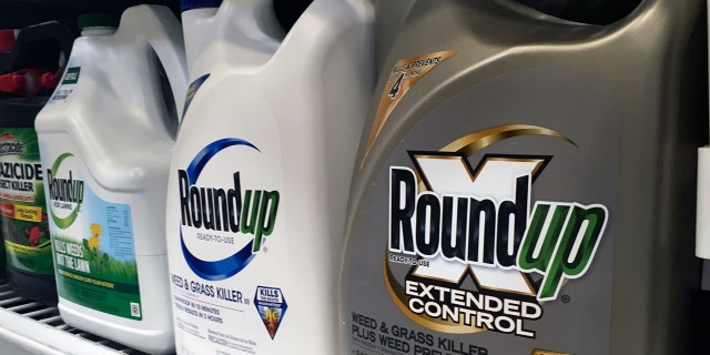 FILE - In this Sunday, Feb. 24, 2019 file photo, containers of Roundup are displayed on a store shelf in San Francisco. (AP Photo/Haven Daley, File)