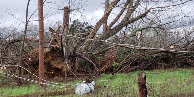 Televised broadcast news footage showed smashed buildings with rooftops blown away, cars overturned and debris everywhere. Trees all around had been snapped bare of branches. (Steven MacLeroy)