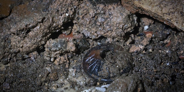 Interior of Balamku cave. (Karla Ortega, Great Mayan Aquifer Project, INAH)