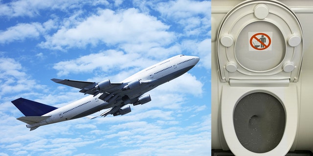 One airplane passenger has won overnight internet fame after sharing a self-produced video to Twitter of herself licking the toilet seat of a plane bathroom.