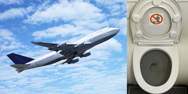 One airplane passenger has won overnight internet fame after sharing a self-produced video to Twitter of herself licking the toilet seat of a plane bathroom.
