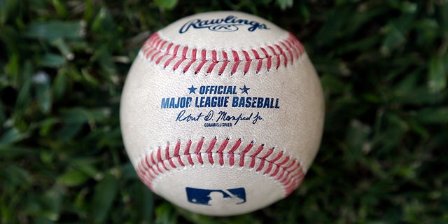 Major League Baseball's new prototype baseball is shown Wednesday, March 20, 2019, in Clearwater, Fla. (AP Photo/Chris O'Meara)