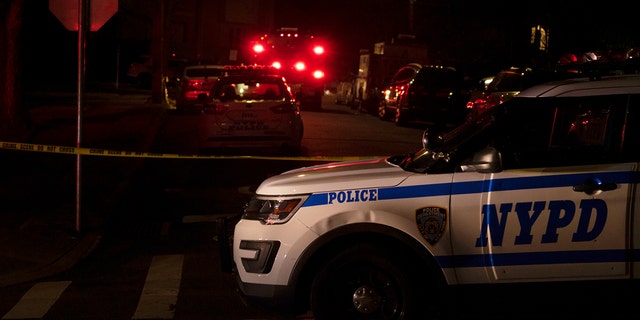 New York Police Department and New York City Fire Department units responded to a report of shots fired Wednesday in the Todt Hill section of the Staten Island borough of New York. (Joseph Ostapiuk/Staten Island Advance via AP)