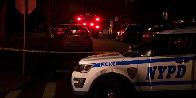 New York Police Department and New York City Fire Department units responded to a report of shots fired Wednesday in the Todt Hill section of the Staten Island borough of New York. (Joseph Ostapiuk/Staten Island Advance via AP)