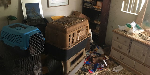 Deputies from the Ventura County Sheriff's Office discovered the scene on Thursday.