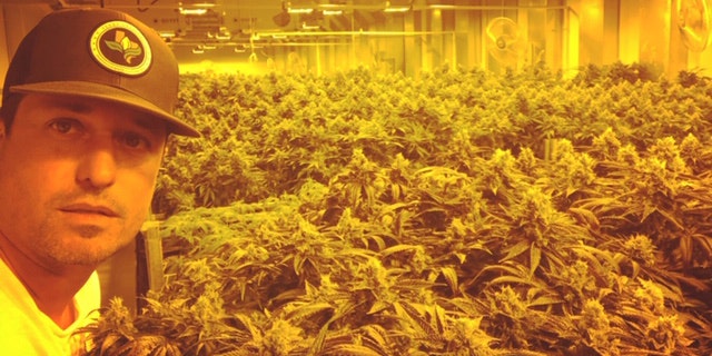 In the last two years, attorney and lobbyist Brady Cobb has managed to convince members of the Washington establishment into voting in support of legalizing cannabis.