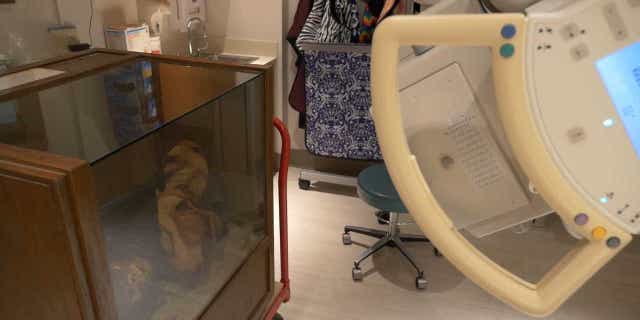 Geisinger Community Medical Center professionals recently took X-rays of the centuries-old Peruvian mummy.