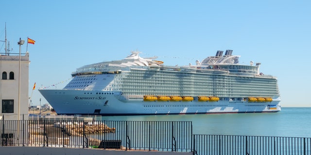 The couple, who went viral after footage emerged of them missing the Symphony of the Seas, has been revealed as Costa Rican actress Maria Gonzalez Roesch and her new hubby Alessandro Di Palma.