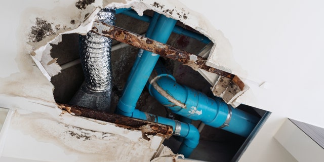 "If the water damage is bad enough, you might need to replace an entire ceiling or wall at an average cost of $1,500,” says Dan DiClerico, a HomeAdvisor expert.