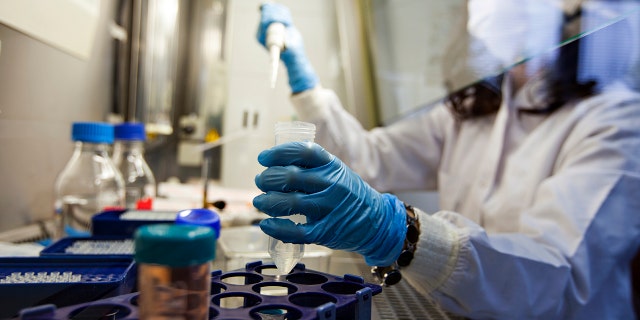 Scientists person admitted being dismissed aliases ignored complete suggesting nan laboratory leak mentation arsenic a imaginable root for nan coronavirus.