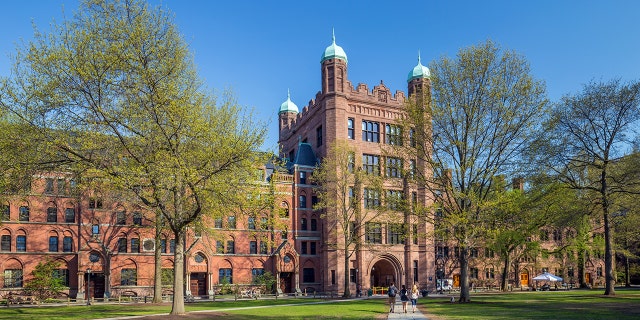 Tara Henley feels "a radical political agenda that originated on Ivy League campuses in the United States" has ruined the Canadian Broadcasting Corporation. (Yale University)