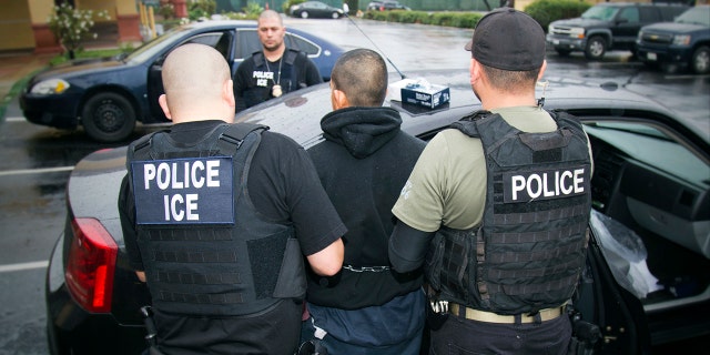 ICE agents detain an individual.