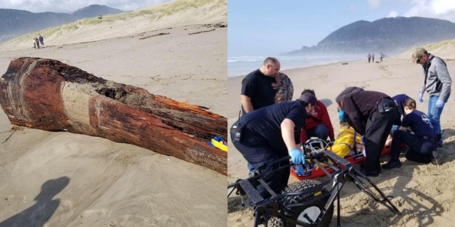 A woman was seriously injured in Oregon after she was on a log that was struck by a sneaker wave on Saturday.