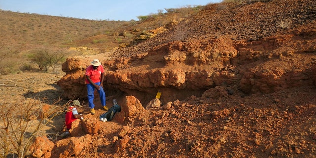 Scientists collecting rock samples for dating the sediments at Nakwai, Kenya, where the Alophia was discovered. The discovery of 22-million-year-old fossilized monkey teeth – described as belonging to a new species, Alophia metios – fills a void between a previously discovered 19-million-year-old fossil tooth in Uganda and a 25-million-year-old fossil tooth found in Tanzania. (Credit: SWNS)