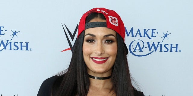 Nikki Bella unknowingly became the center of a "political debate" after she promoted The Rock's book after he endorsed Joe Biden.